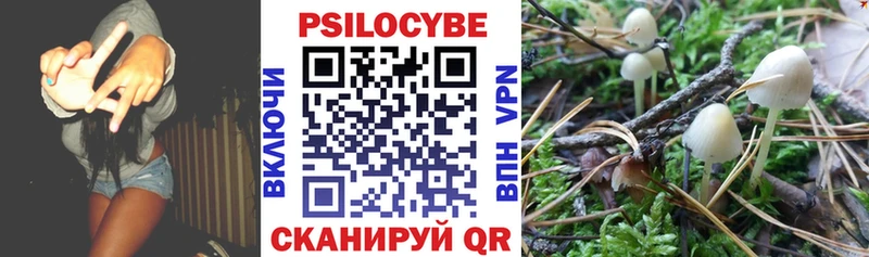 Псилоцибиновые грибы MAGIC MUSHROOMS Тында