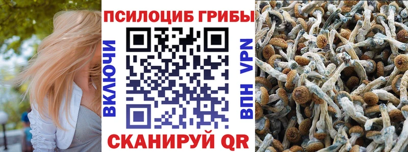 Псилоцибиновые грибы ЛСД  Тында 